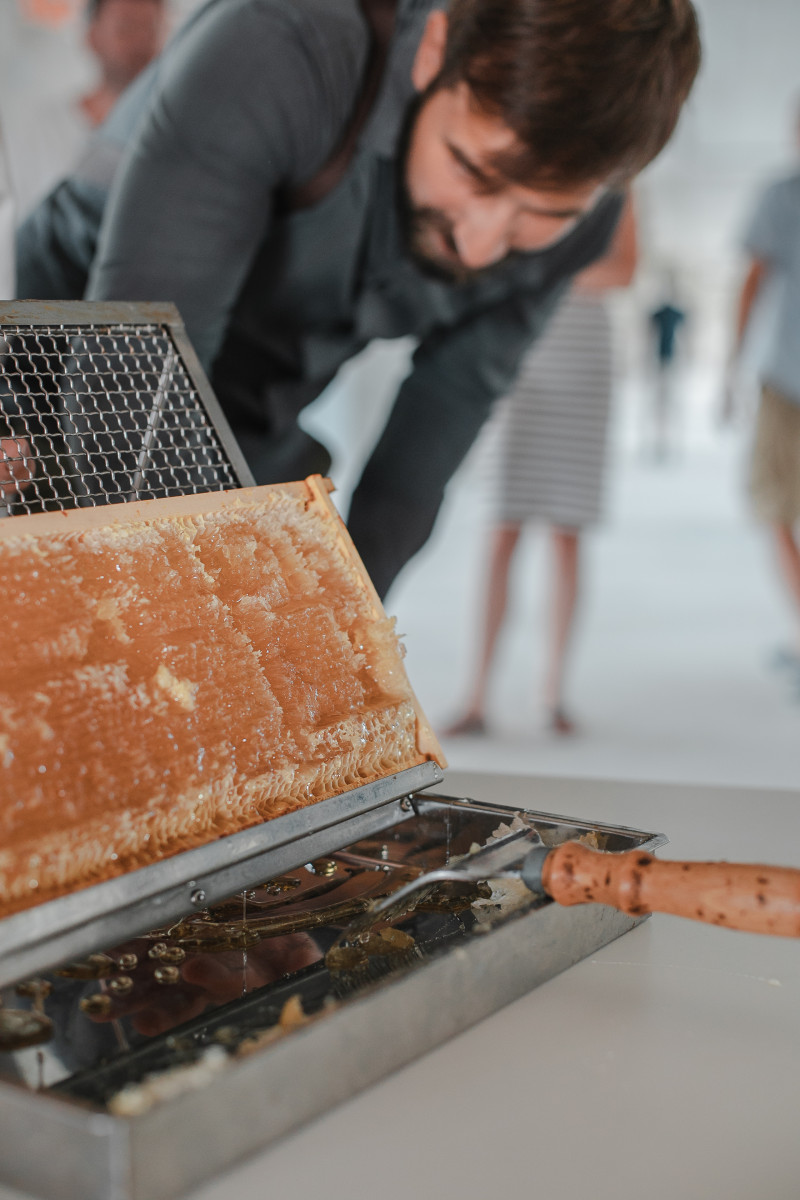 Včely z Einparku už mají první med