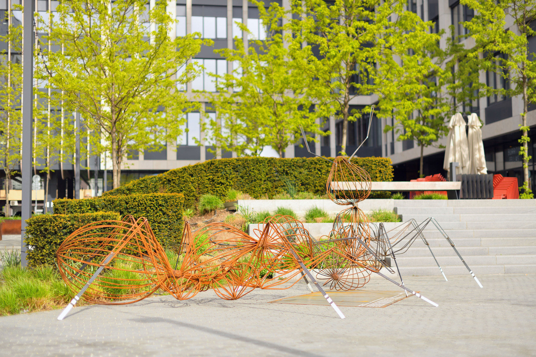 Našli jste už naše mravence